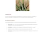 write botany biology and plant science articles